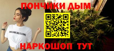 шишки Нарткала