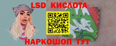 шишки Нарткала
